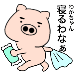 pig Wakachan