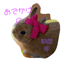 yukari_20180920223429