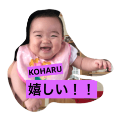 Suzuki family stickers8