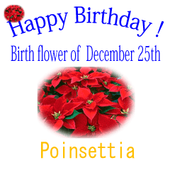 Happy happy happy birthday!