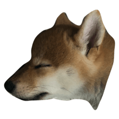 庫奇