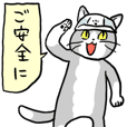 勤労日の猫(現場編)