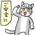 勤労日の猫（現場編）