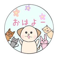 kafoopansSTAMP