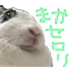 omame_20180921233307