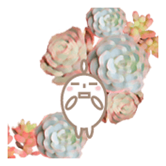 Succulents Sticker(daily)