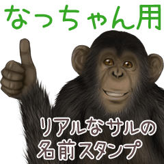 Nacchan Monkey's real name Sticker