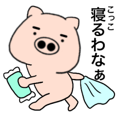 pig Kokko