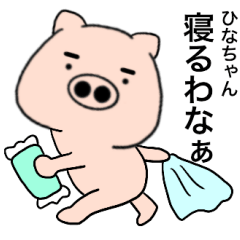 pig Hinachan