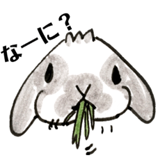 cute rabbit friends .