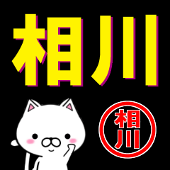 超★相川(あいかわ・そうかわ)なネコ
