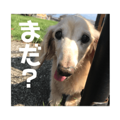Kanako_20180922113219