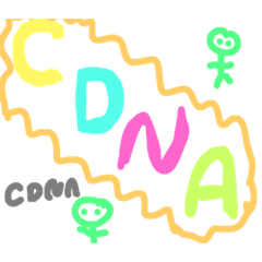 CDNA系列貼圖