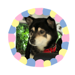 yukari_20180922174849