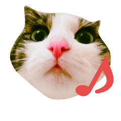 akane_20180923164359