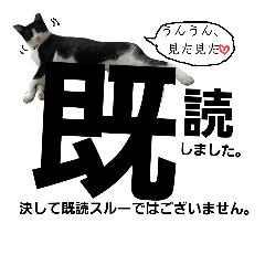 BUCHO & SHIRATAMA Sticker