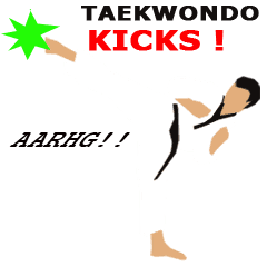 Men's Taekwondo Kicks