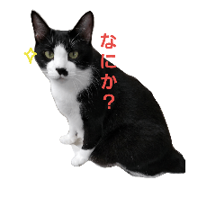Chiro_20180922160217