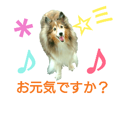 Mayu_20180922231525
