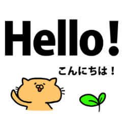 Cat with English and Japanese big words