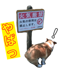 kazuki_20180922232950