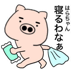 pig Harachan