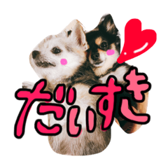 Rie_20180922105616