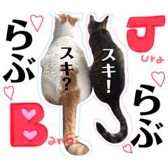 mako_20180922212923