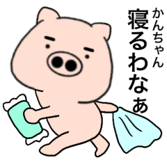 pig Kanchan