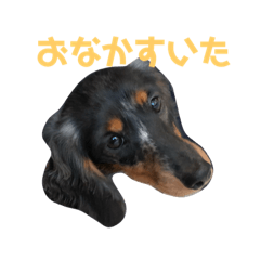 Funi stickers