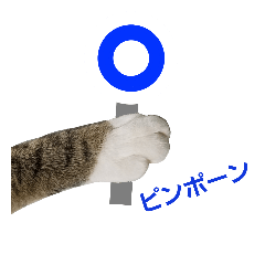 CAT Torajiro3