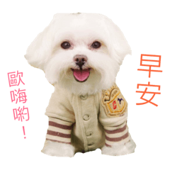 瑪爾濟斯球球日常生活