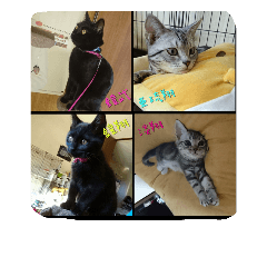 Ayumi_20180921050911