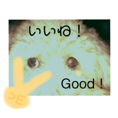 kaede_20180924131839