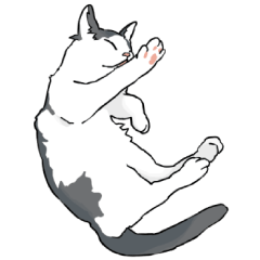 A Lying Down Cat