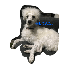 mydogStamp