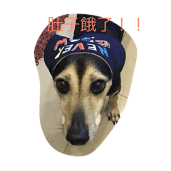 寶妹妹