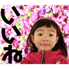 Conversation with MATSU Family 000.