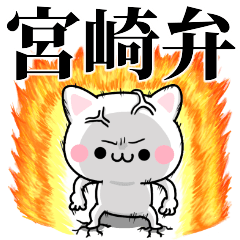 tanuchan miyazaki cat