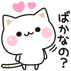 Cat no to concern (Anime)
