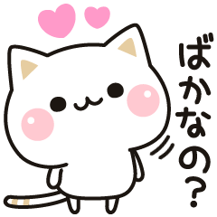 Cat no to concern (Anime)