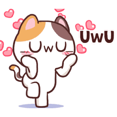 Meong the Meme  Cat LINE  stickers  LINE  STORE