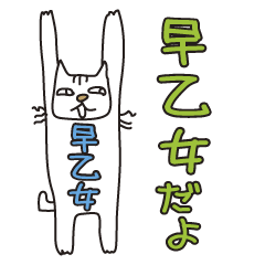 Only for Mr. Saotome Banzai Cat