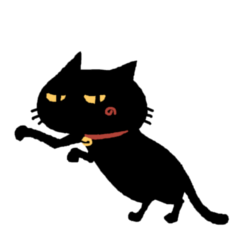 black funny cat