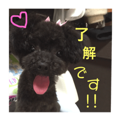 yuuki_20180924020902
