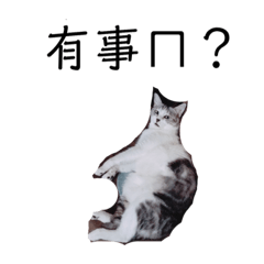 miの日常