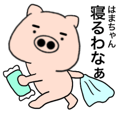 pig Hamachan