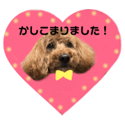 haa_20180925200451