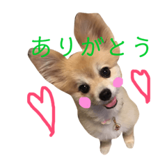 yurina_20180925231349