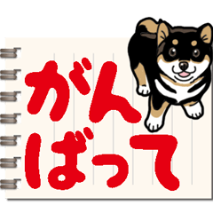 Wanko-Biyori Daily Black Shiba Inu 13